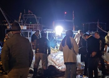 Ucuz palamuta hücum