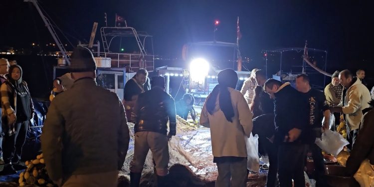 Ucuz palamuta hücum