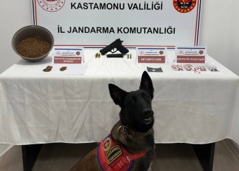 Uyuşturucuyla yakalanan 2 kişi tutuklandı