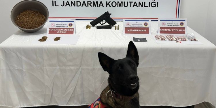 Uyuşturucuyla yakalanan 2 kişi tutuklandı