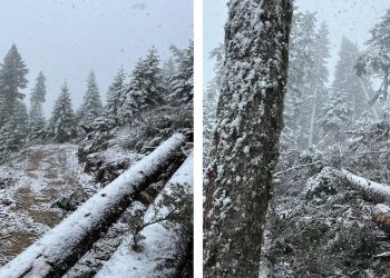 Yüksek kesimlerde kar yağışı başladı