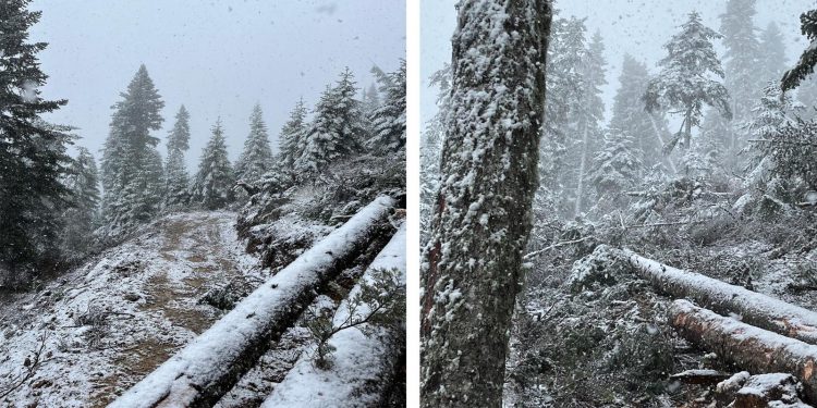 Yüksek kesimlerde kar yağışı başladı