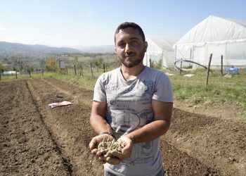 Toplayıcılıktan üreticiliğe