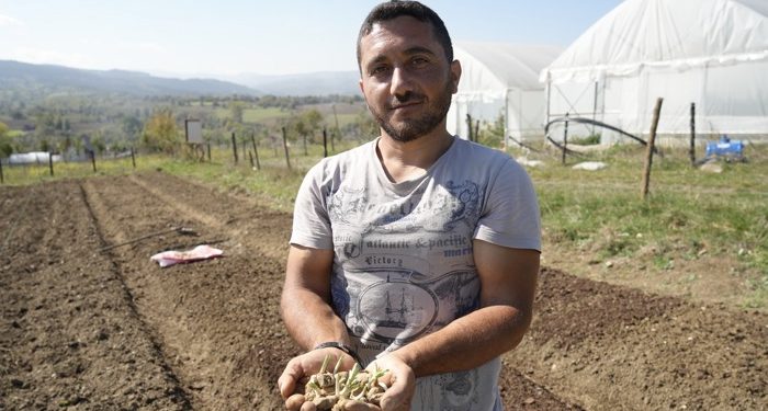 Toplayıcılıktan üreticiliğe