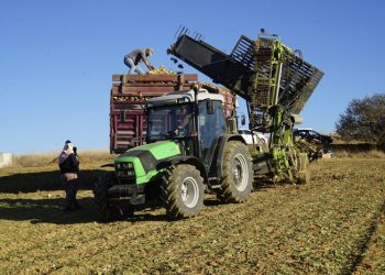 Çiftçilerin pancar mesaisi devam ediyor