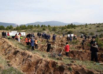 15 bin fidan toprakla buluşturuldu