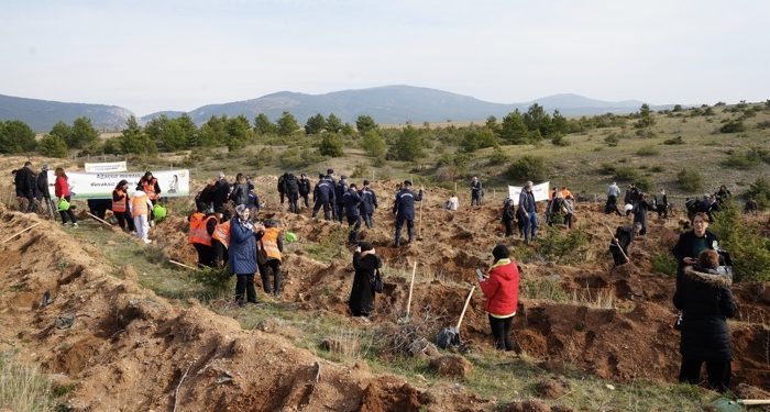 15 bin fidan toprakla buluşturuldu