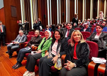 Ekmekci’den 25 Kasım açıklaması