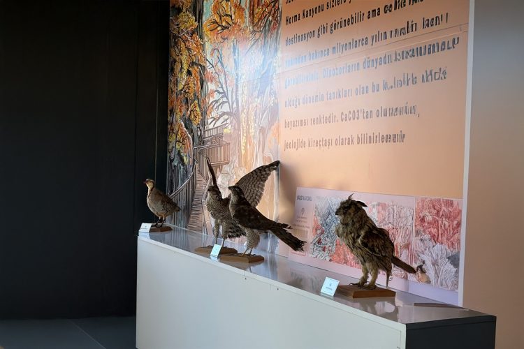 Kastamonu Güney Karadeniz Jeoparkı gezici ziyaretçi tanıtım merkeziyle keşfedilecek