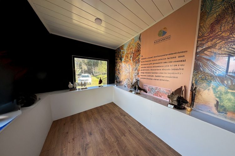 Kastamonu Güney Karadeniz Jeoparkı gezici ziyaretçi tanıtım merkeziyle keşfedilecek