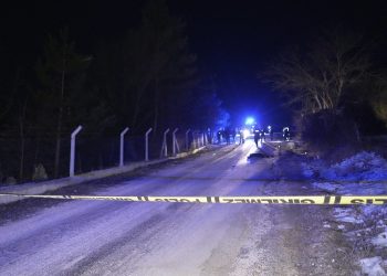 Damat cinayeti davası