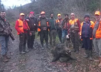 Domuzun saldırdığı adam ağır yaralandı