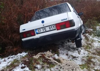 Uçuruma yuvarlanmaktan ağaçlar kurtardı