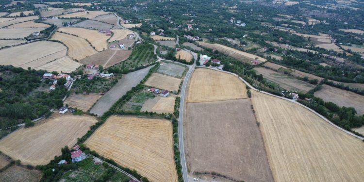 Tosya’da 12 bin 837 hektarlık arazi toplulaştırılıyor