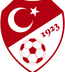 2 ve 3. Lig’de maçlar ertelendi