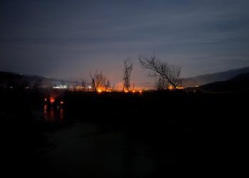 Tosya’da arazi yangını
