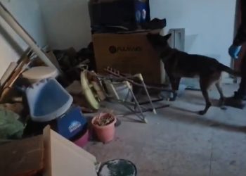 Kastamonu merkezli 3 ilde uyuşturucu operasyonu: 24 gözaltı