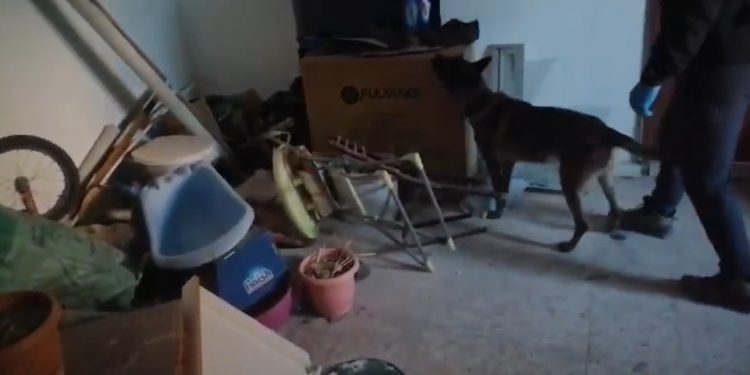 Kastamonu merkezli 3 ilde uyuşturucu operasyonu: 24 gözaltı